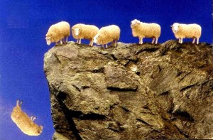 sheep_off_cliff