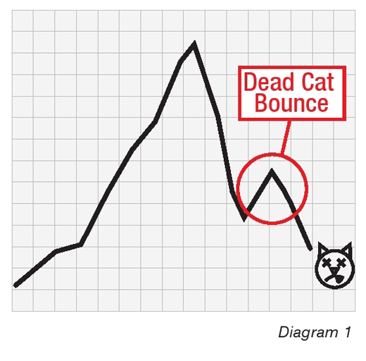 Dead-cat-bounce