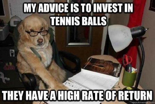 funny-dog-tennis-ball-investment-advice-investwithalex